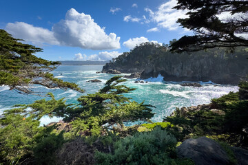 Fototapeta premium Scenic view of beautiful Pacific Ocean coast from Cypress Grove Trail at Point Lobos State Natural Reserve, California, USA against blue sky with clouds