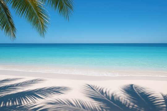 Fototapeta Tropical paradise beach scene with palm leaf shadows dancing on pristine white sand surface