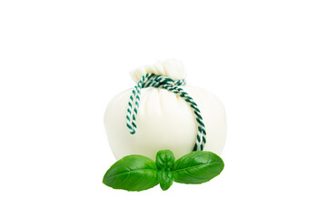 Burrata cheese ball with basil – PNG, front view, isolated on transparent background