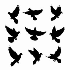 Dove silhouettes flying peace freedom concept