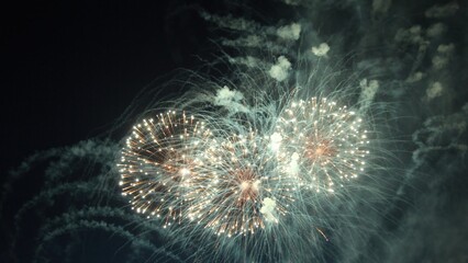 Fireworks exploding in the night sky, creating a mesmerizing spectacle