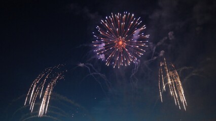 Fireworks exploding in the night sky during a celebration