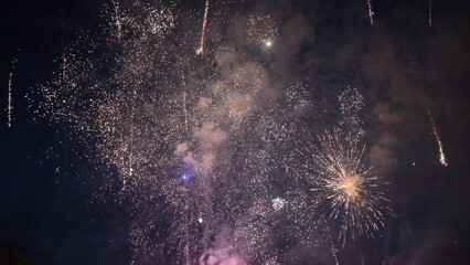 Fireworks exploding in the night sky during a celebration