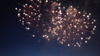 Fireworks exploding in the dark night sky during a celebration