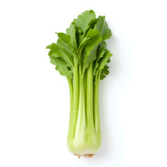 green celery stalk, centered on a clean white background, detailed leaves, vibrant color, 4k resolution