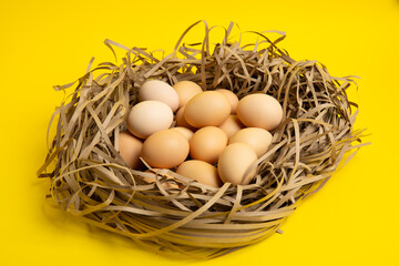 Brown Eggs in Nest – Front View, yellow background