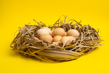 Brown eggs in paper nest – front view,yellow background
