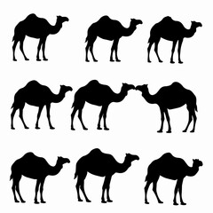 Camels silhouette pattern animals group wildlife desert