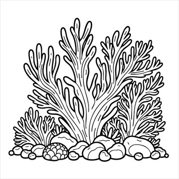 Black and white line art of seaweed and rocks against a white background