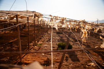 Invernaderos rotos Almer&iacute;a