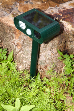 Solar Powered Animal Repeller in Garden Setting

