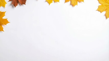 Autumn foliage arrangement featuring vibrant yellow and brown maple leaves on a clean white backdrop, symbolizing fall season - Powered by Adobe