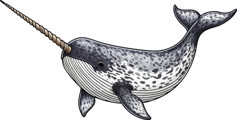 Narwhal