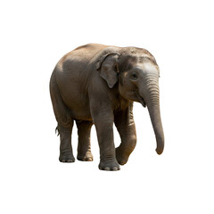 Obraz premium A realistic figurine or sculpture of an elephant walking