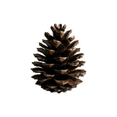 A single pinecone placed upright and isolated on white