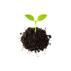 Small green plant sprouting from fertile soil symbolizing growth and new beginnings