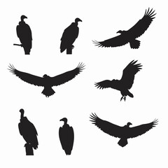 Vulture silhouette flying and perched