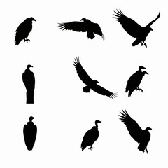 Vulture silhouette collection, flying bird, scavenger