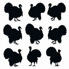 Turkey silhouettes in different poses on white background