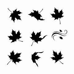 Autumn leaves collection, leaf silhouette, fall design