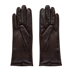 Pair of dark brown leather gloves placed neatly side by side