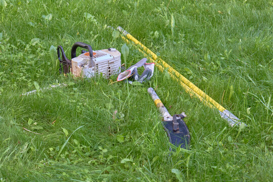 Chainsaw Operator Cutting Tree Stumps in Forest Clearing
