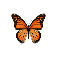 Fototapeta premium Vibrant orange monarch butterfly with wings spread wide for flight