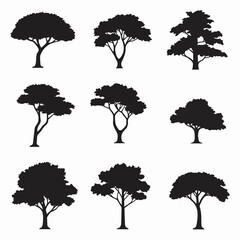 Tree silhouette collection nature forest landscape