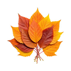 Naklejka premium Cluster of vibrant autumn leaves in red, yellow, and orange shades