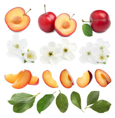 Yummy ripe plums, blossoms and green leaves on white background, collage