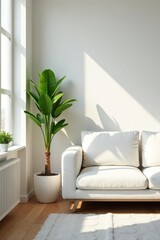 White sofa, potted palm, sunlit minimalist living room, apartment, modern
