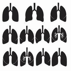 Lungs anatomy health organ respiratory system medical