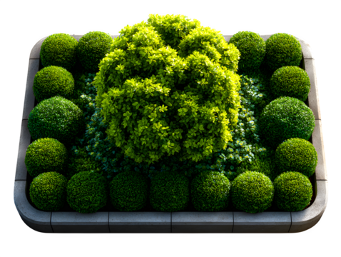 Masterplan top view of a green flower bed template, filled with ornamental shrubs and soft lawn patterns, rendered over white background, isolated to transparent background - Powered by Adobe
