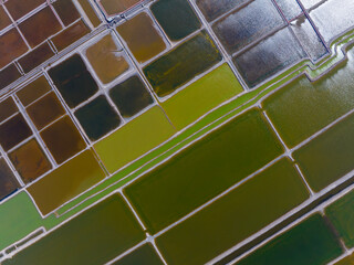 The view of the salt field