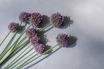 にんにくの花