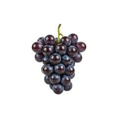 Fototapeta premium A bunch of dark purple grapes on a green stem