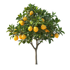Lush lemon tree laden with ripe lemons, set against a bright blue sky, symbolizing abundance
