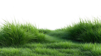 Green Grassy Field
