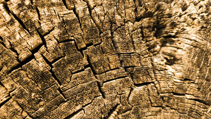 Background of old cracked brown wood material texture. Background for banner, backdrop or texture for 3D mapping