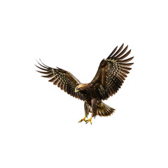 Obraz premium Majestic eagle in mid-flight with wings spread wide and talons extended downward