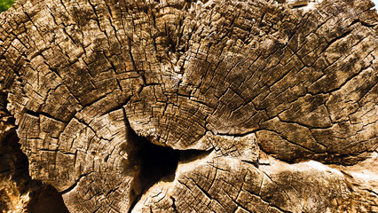 Background of old cracked brown wood material texture. Background for banner, backdrop or texture for 3D mapping