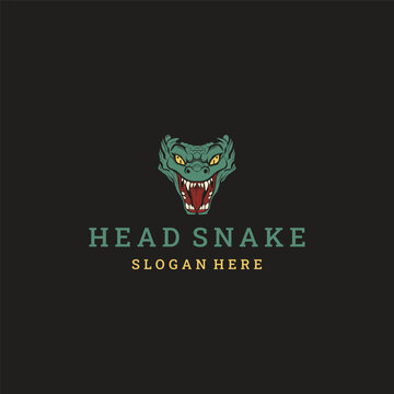 Head snake logo style icon design template vector illustration