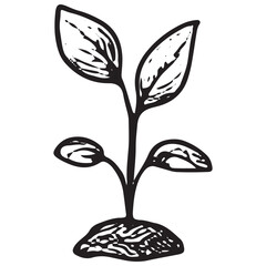 A hand-drawn plant icon, symbolizing growth, nature, and eco-friendliness, promoting environmental conservation and sustainable living for a healthier planet
