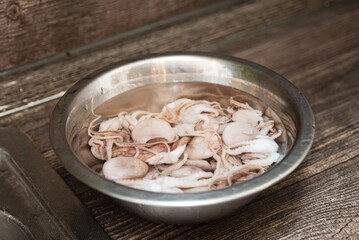 Fresh raw baby octopus in metal bowl.