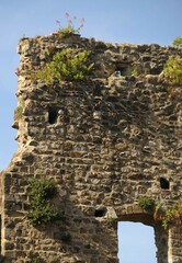 Un antico muro di pietra, Italia