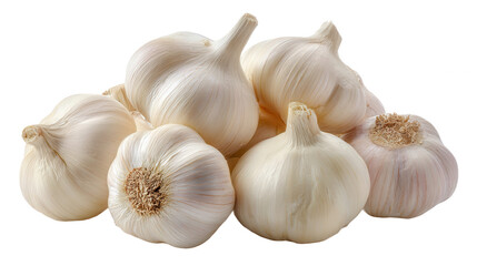 Fresh Garlic Bulbs Cluster