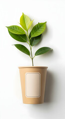 Healthy Green Plant in Pot for Natural Decor