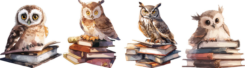 owl on book watercolor clipart | owl on book clipart for graphic resources