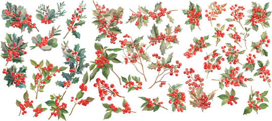 christmas berry branch watercolor clipart | christmas berry branch clipart for graphic resources