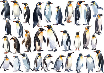 Obraz premium penguin watercolor clipart | penguin clipart for graphic resources